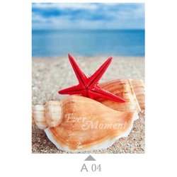 A04