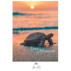 A05