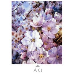 A01