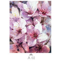 A02