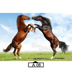 A08