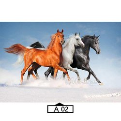 A02