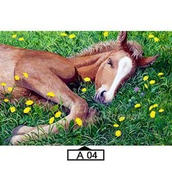 A04