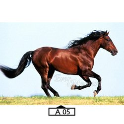 A05