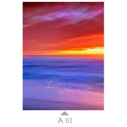 A01