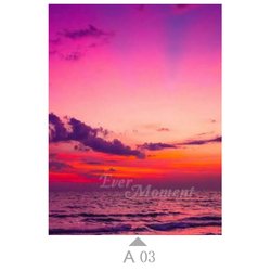 A03