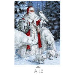 A12