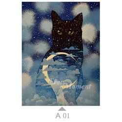 A01