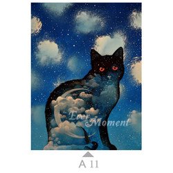 A11