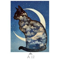 A12