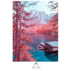 A01