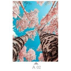A02