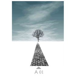 A01
