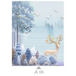 A06