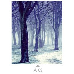 A09