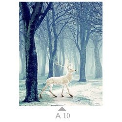 A10