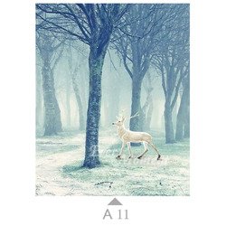 A11