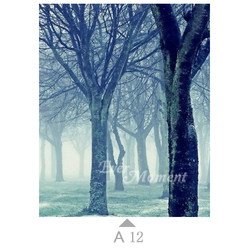 A12
