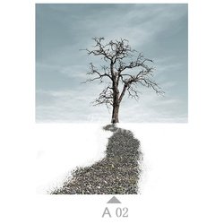 A02