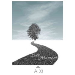 A03
