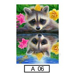 A06