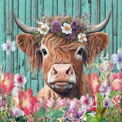 cow