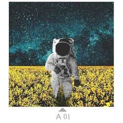 A01