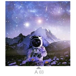 A03