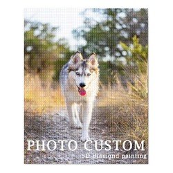 CUSTOM