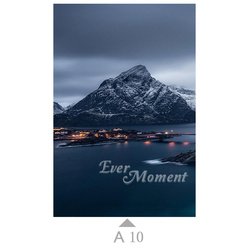 A10