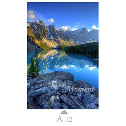 A12