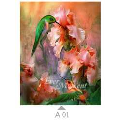 A01
