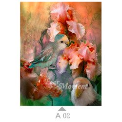 A02