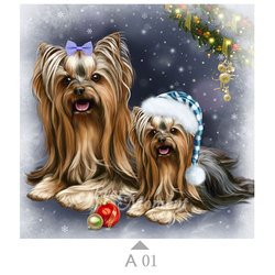A01
