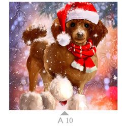A10