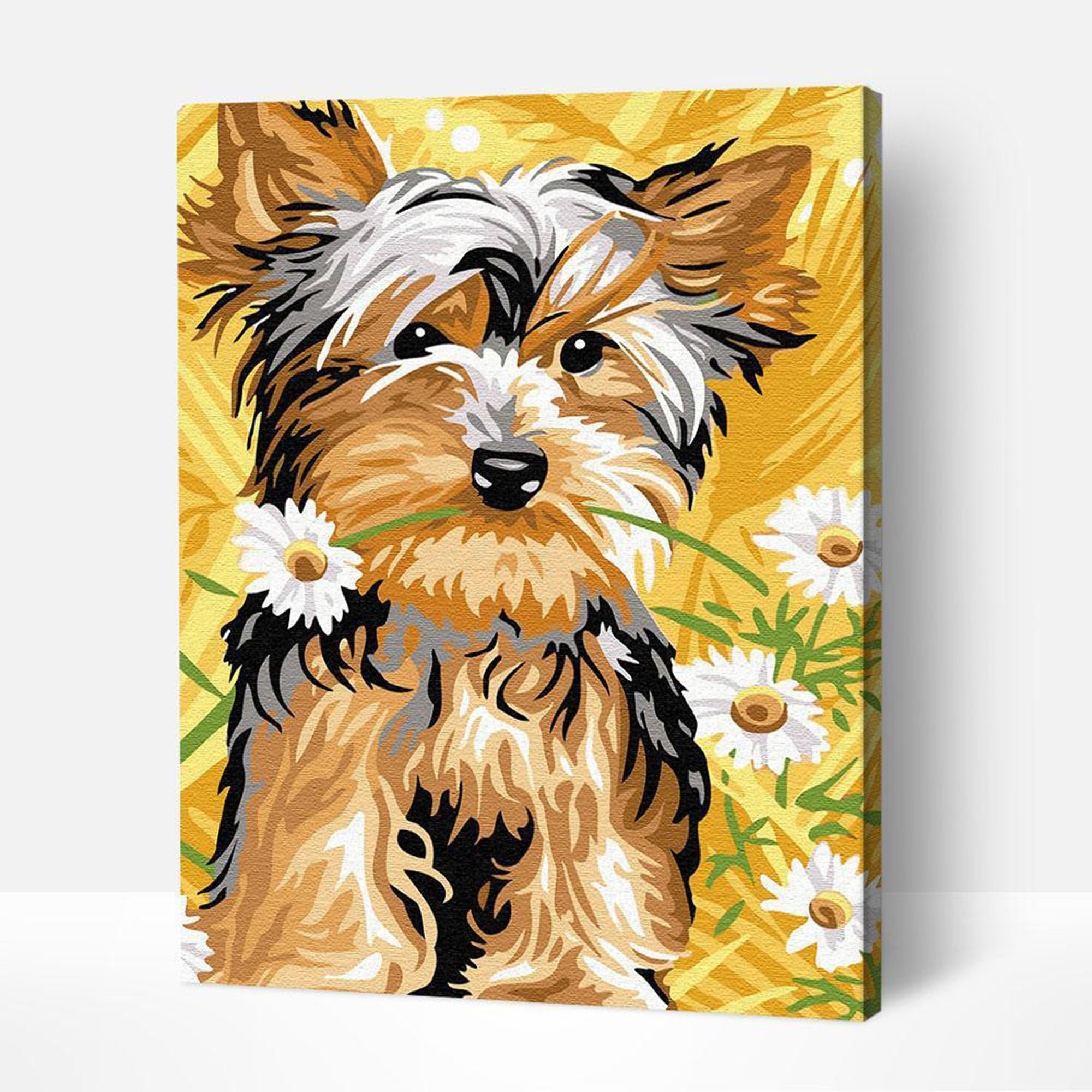 E-016Paint by Numbers DIY Funny Painting Kit custom painting by numbers Colorful Pattern with Gift painting by numbers