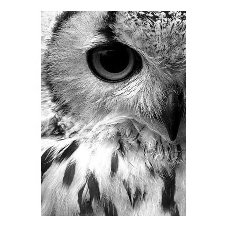 Ever Moment Diamond Painting Kit Tiger Lion Owl Half Face Black and White Style DIY 5D ASF828