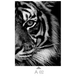 A02