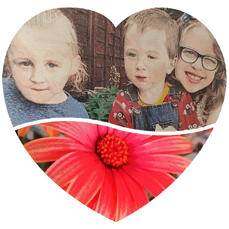 Ever Moment Diamond Painting Full Square Resin Drill Handmade Embroidery Colorful Picture Plant Artwork Mosaic Gift S2F2724