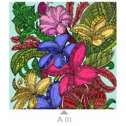 A01