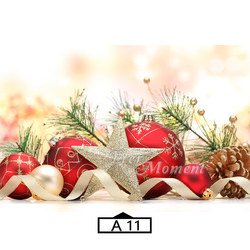 A11