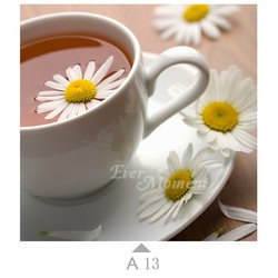 A13