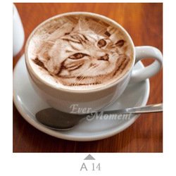 A14