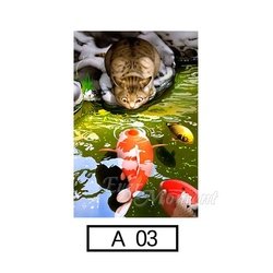 A03