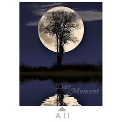 A11