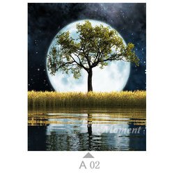 A02
