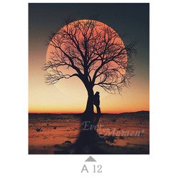 A12
