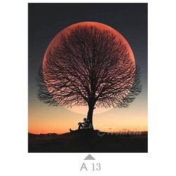 A13