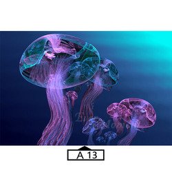 A13