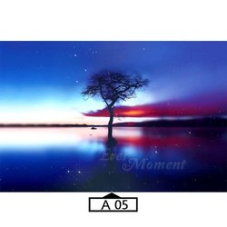 A05